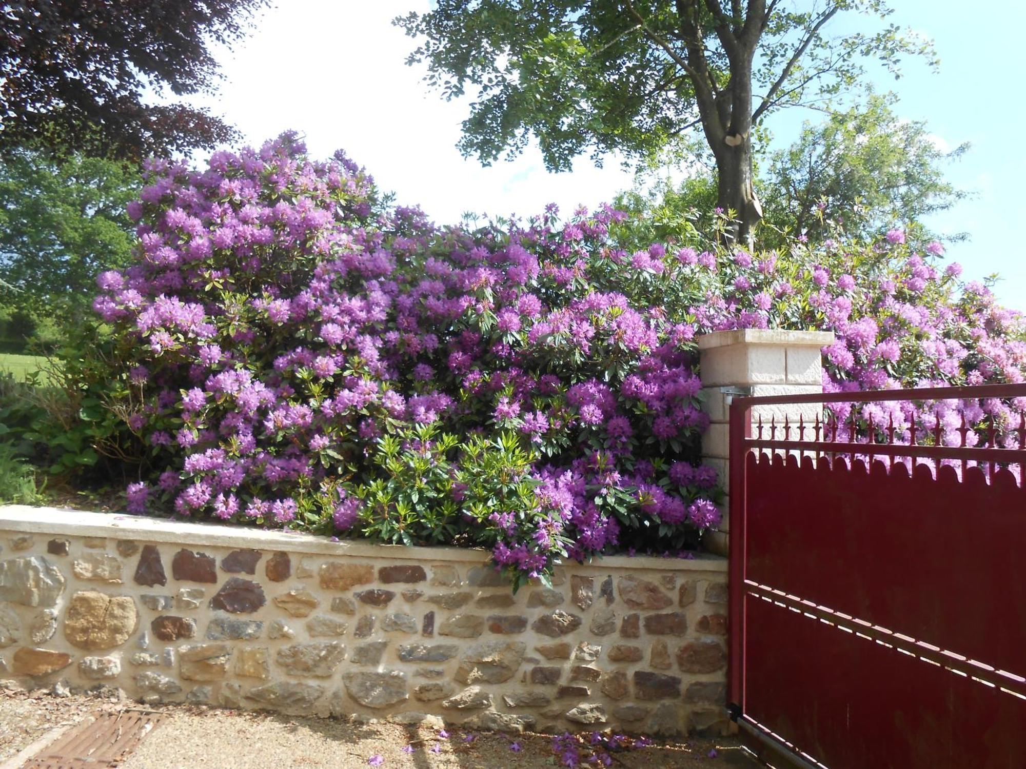 Maison Brix מראה חיצוני תמונה